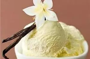 Vanilla: A Classic Flavor for Artisanal Gelato