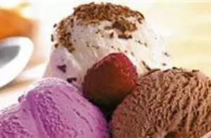 The Importance of Training for Gelato Artisans